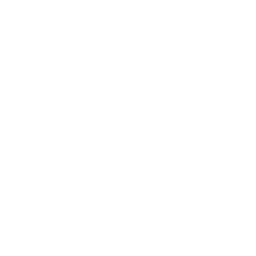 Lider IA